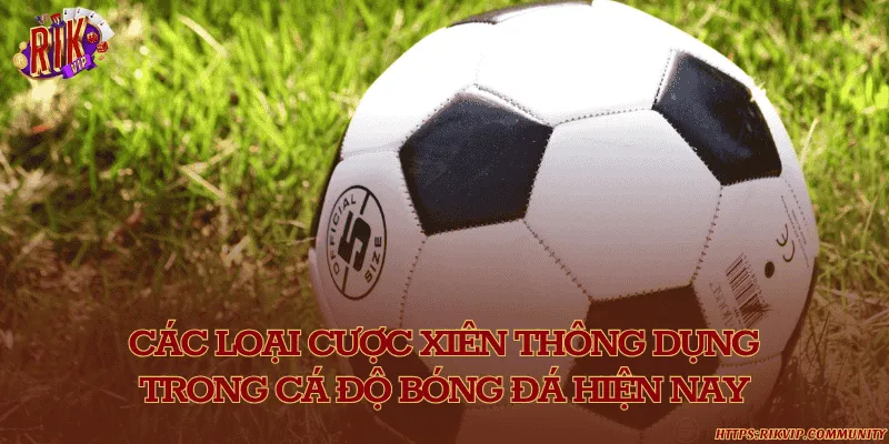 Các loại cược xiên phổ biến và dễ chơi