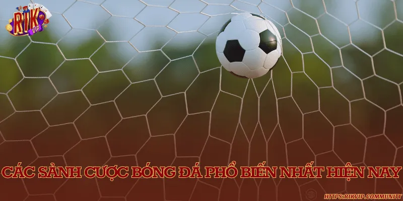 Các sảnh cược bóng đá phổ biến và uy tín hiện nay Các sảnh cược bóng đá phổ biến nhất hiện nay
