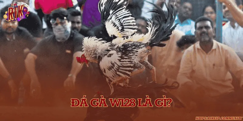 Đá gà W128 – Sân chơi gà chọi trực tuyến hấp dẫn Đá gà W128 là gì?