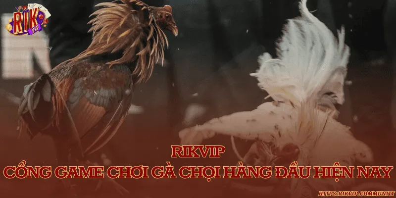 Rikvip - Địa chỉ chơi gà chọi uy tín hấp dẫn Rikvip – cổng game chơi gà chọi hàng đầu hiện nay