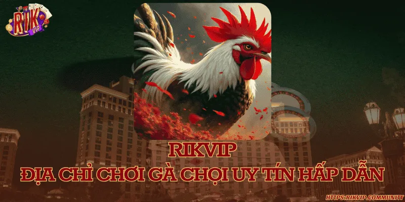 Rikvip - Địa chỉ chơi gà chọi uy tín hấp dẫn