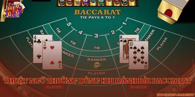 Tóm tắt các thuật ngữ chuyên dùng trong bài Baccarat Rikvip