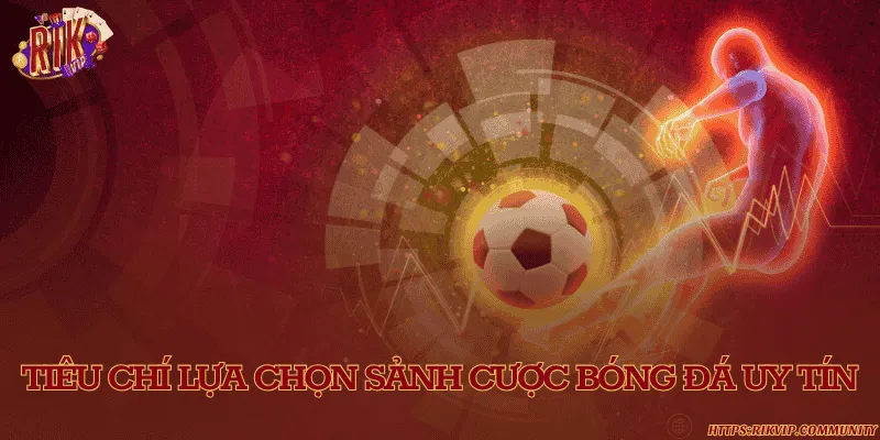 Các sảnh cược bóng đá phổ biến và uy tín hiện nay Tiêu chí lựa chọn sảnh cược bóng đá uy tín