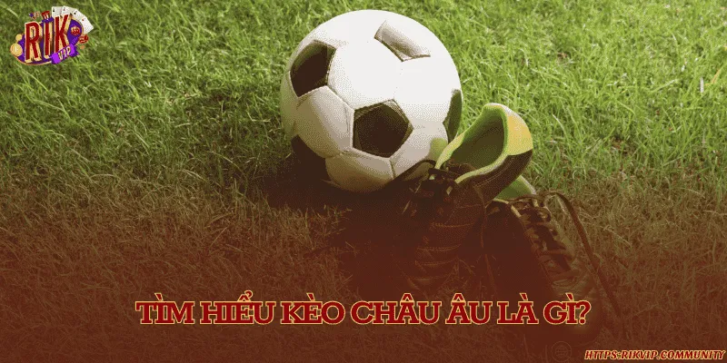 Kèo châu Âu là gì? Tỷ lệ thắng thua cơ bản trong kèo Giải mã khái niệm kèo cược châu Âu